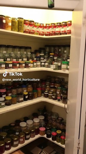 Food Preservation with Sunbeam Food Lab Dehydrator for a Self-Sufficient Garden