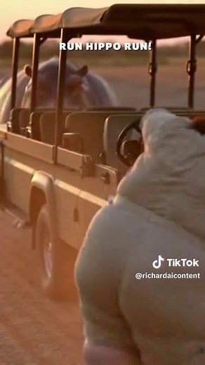 Hippo-Attack! Run Theres A HIPPO! #Ai #parody #hilarious #viral #tiktok #funny #AI #usa #generatedbyai #fat #aiart #safari #animals