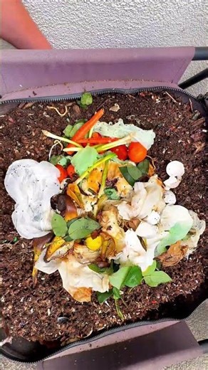 #Subscribe🪱 Compost #Garden #Worms #Vermicompost #Sustainability #HowTo #Homestead #Grow #Plants