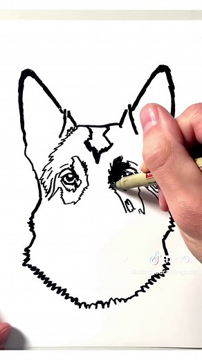 How to Draw a German Shepherd - Step-by-Step Guide
