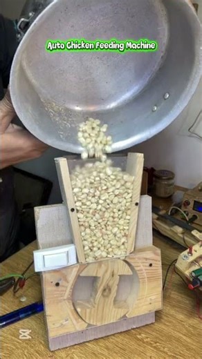 DIY auto chicken feeder machine #educational #diy #creativemind