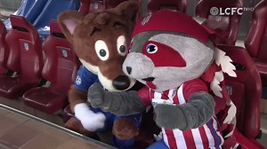53K views · 2.8K reactions | Filbert Fox met up with Atlético de Madrid's Indi at the Vicente Calderon ahead of #AtmLei! 力 | Leicester City Football Club | Facebook