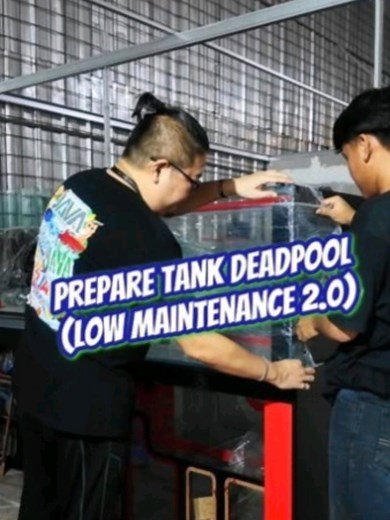 Lagi prepare si Deadpool 💥 — aquarium keren yang siap beraksi! Dikirim langsung dari Tangerang ➜ Temanggung 🛻💨 Penasaran hasil akhirnya? Stay tune & pantau terus IG kami! 👀🐠🔥 Kalau kamu juga pengen bikin kolam atau aquarium impian… 🌐Cek jasa desain akuarium & pond di website kita: jasadesainaquariumkolam.com #aquarium #aquariumhobby #pond #reeftank #aquarium