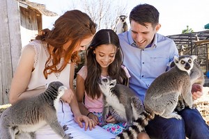 Ultimate Animal Adventure Weekend