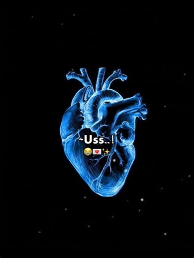 Exploring Lisa's Tulip Color Inspiration