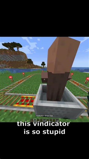 Minecraft Vindicator Villager Moment