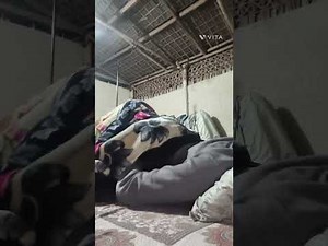 Sleep stream live I alone boy 🔥 sleep stream I sleep stream new today I sleepstream I relaxing