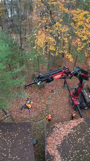 53 reactions | Foley's Tree Service, LLC on Reels | Facebook