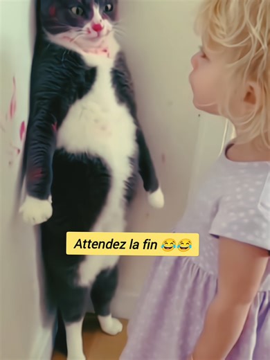 Le chat et le bébé : une drôle de confrontation !