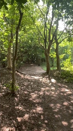 Exploring Bangladesh’s Most Beautiful Bird Sanctuary! 🇧🇩 (Baikka Beel)