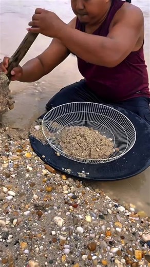 Understanding Golden Retrievers and Goldendoodles