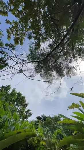 #Atv #Ubud Atv ride#fyp