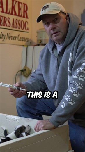 136K views · 2.1K reactions | A clip from the best video available...