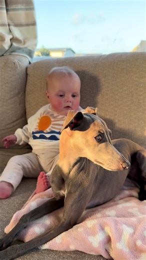 Puppy and Baby Best Friends: A Heartwarming Moment