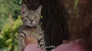 فیلم جادوی وارونه Upside-Down Magic 2020