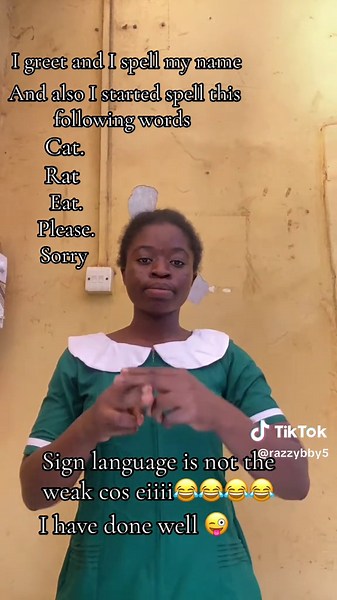 Understanding Sign Language Basics