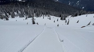 This afternoon you can trigger small Loose Wet avalanches on steep southerly-facing slopes as this skier did intentionally, mid-day in the Steamboat and Flattops zone. #COAvalancheInfo | Colorado Avalanche Information Center - CAIC
