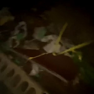 Things are already turning really sketchy! 🤔 | Bailey Payne