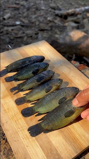 Crispy Climbing Perch Fry #fishrecipe #climbingperch #foodielife #fishlovers #crispyfishfry