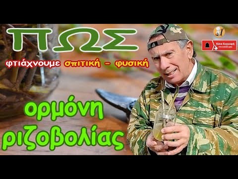 Φτιάξτε 𝝨𝝿𝝸𝞃𝝸𝝹ή 𝞅𝞄𝞂𝝸𝝹ή 𝝤𝞀𝝻ό𝝼𝝶 𝝦𝝸𝝵𝝾𝝱𝝾𝝺ί𝝰ς (𝒉𝒐𝒎𝒆𝒎𝒂𝒅𝒆 𝒓𝒐𝒐𝒕𝒊𝒏𝒈 𝒉𝒐𝒓𝒎𝒐𝒏𝒆)