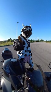 I don’t want no pickle, just wanna ride my motorcycle. 🐮🕺 #cow #moo #motorcycle #honda #pickle #themotorcyclesong #arloguthrie #ssgear #insta360 #cardopacktalkbold #lululemon #kingcity #toronto #bikelife #tiktokbiker #goofball | MotoBrew