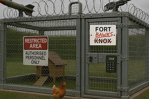 Chicken Guardian - Scaring Off Predators w Object Detection