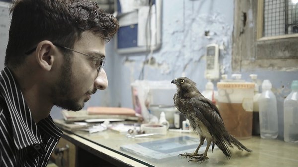 All That Breathes (2022) | MUBI