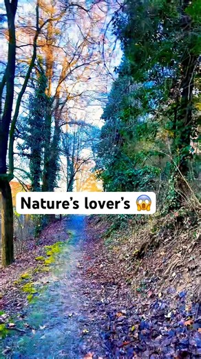 Walking in Nature on a Perfect Sunny Day