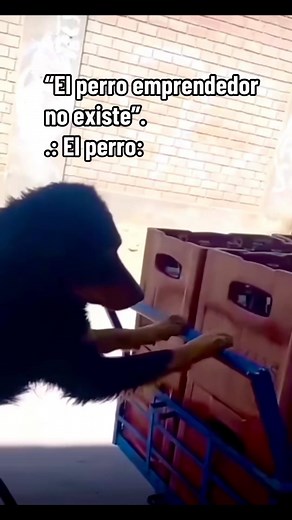 15 reactions | #viralvideo #humor | Studios WL | Facebook