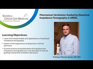Mechanical Ventilation Guided by Electrical Impedance Tomography.