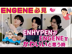 【ENHYPEN/日本語字幕】日本人ENGENE必見！ENHYPENがENGENEをかわいいと思う時