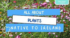 All About Plants Native to Ireland - Native Irish Plants