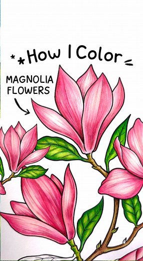 🌸✨How I Color Magnolia Flower🩷In this video, I used:- Faber-Castell Polychromos Artist Colored PencilsVisit our Amazon and Etsy stores. Link in bio!This page is part of the book “ The Language of Flowers Coloring Book”💫 Use our hashtags #cocowyocoloringbook #cocowyopublishing #cocowyo for us to see your beautiful artwork.👉 Join our Coco Wyo Coloring Books community group to receive the latest updates on the OFFER of us: link in bio!...#cocowyopublishing #cocowyo #cocowyocoloringbook #dailyar