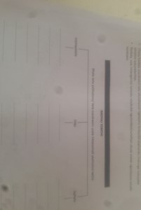 Chaza kwileta esesikweni into efundiweyo ngexesha lenkqubo yoph... | Filo