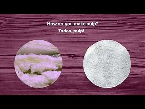 What is pulp and where does it come from?