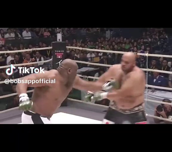 The Beast ruled this fight💥👊 #bobsapp #fight #mma #ufc #sport