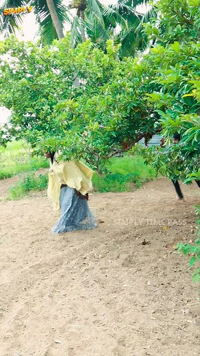 Simply Time Pass on Reels