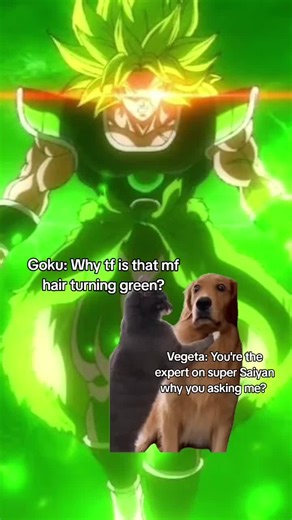 Understanding Super Saiyan Transformations in DBZ