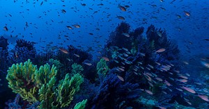 Des "vagues sombres" peuvent plonger l'océan dans le noir pendant des mois: un outil inédit mis en place pour les repérer