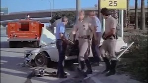 CHIPS LADRONES DE JARDIN