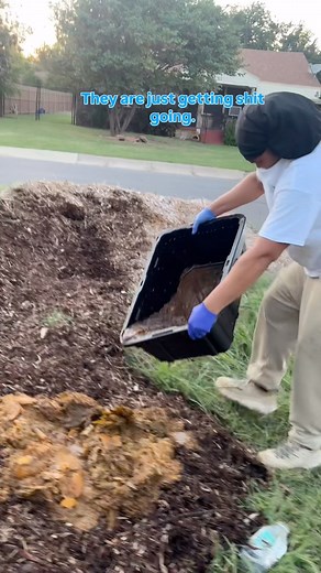 3.5K views · 96 reactions | I definitely have a love/ick relationship...