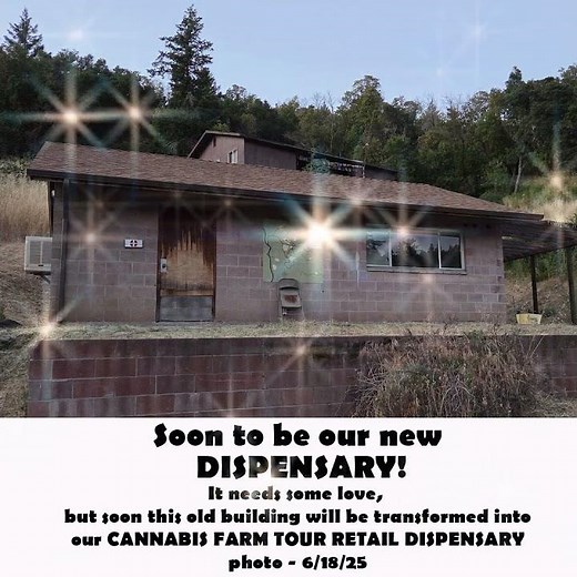 Cannabis Farm Tour Retail Dispensary Building - 6/19/25