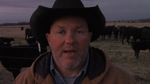 Why we moved the cows to another pasture? I have a new camera! Update on Toby my new ranch horse and more | Texas Rancher