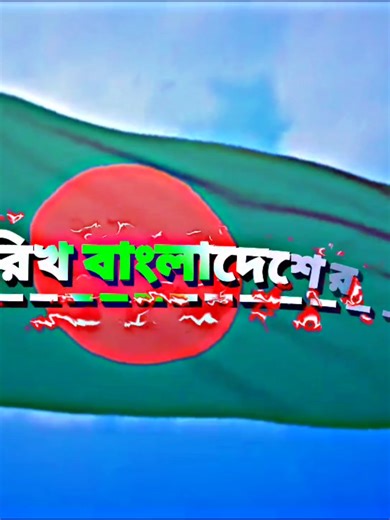 Understanding the SSC Exam Format and Preparation Tips