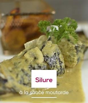 Silure à la sauce Moutarde - Recette facile