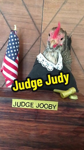 Top Judge Judy Impressions and Memorable Moments