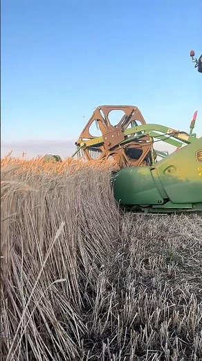 THE ULTIMATE HARVEST BEAST IN ACTION! JOHN DEERE 9770 STS 🌾🔥 #johndeere #combine #harvest #wheat