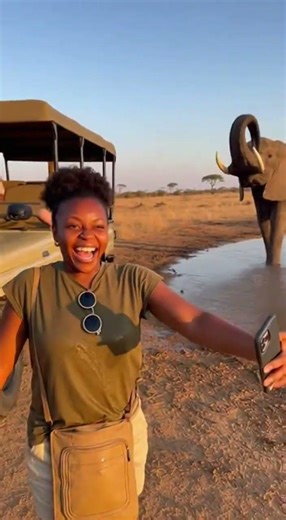 An Elephant’s Playful Prank on Phone-Using Visitors