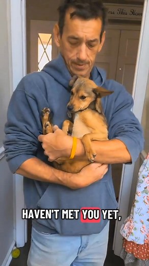 The puppy rescue story continues... | Susie Whichard Ferguson