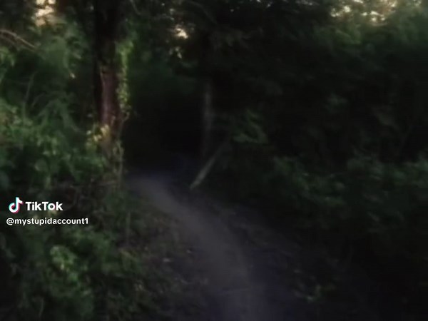 Exploring the Real Sony Cyber-shot Digital Camera